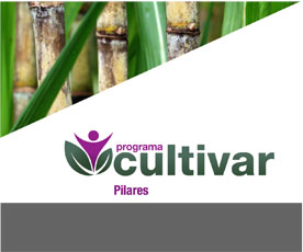 apresentação programa cultivar raízen